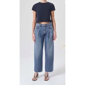 Agolde Dayna High Rise Pleat Baggy Jeans in Trap Size 28